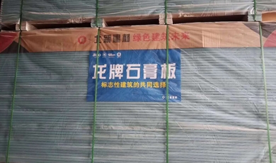 龍牌系列