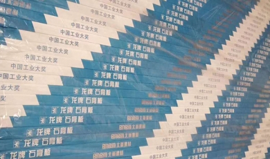 龍牌系列